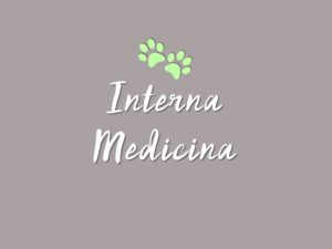 interna medicina